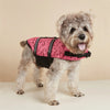 Un chien duveteux portant un gilet de sauvetage rose réfléchissant pour la baignade et la sécurité.