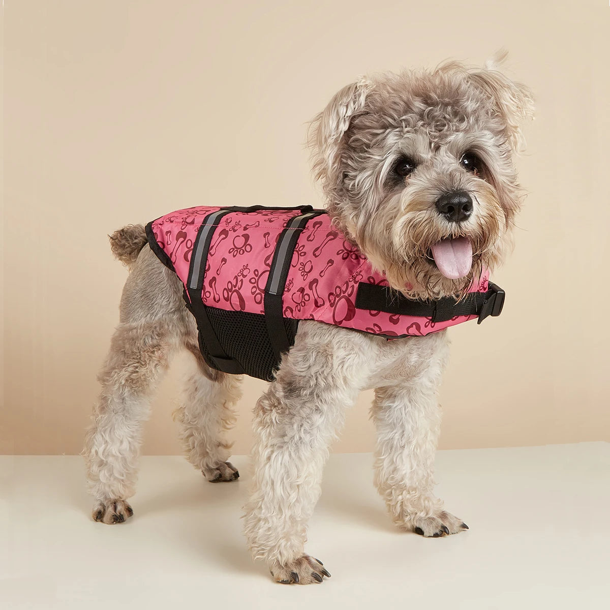 Un chien duveteux portant un gilet de sauvetage rose réfléchissant pour la baignade et la sécurité.