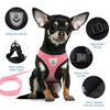 Un perro negro con arnés y collar rosa, mostrando varias piezas como cinta de nailon y hebillas.