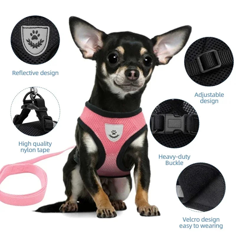 Un perro negro con arnés y collar rosa, mostrando varias piezas como cinta de nailon y hebillas.