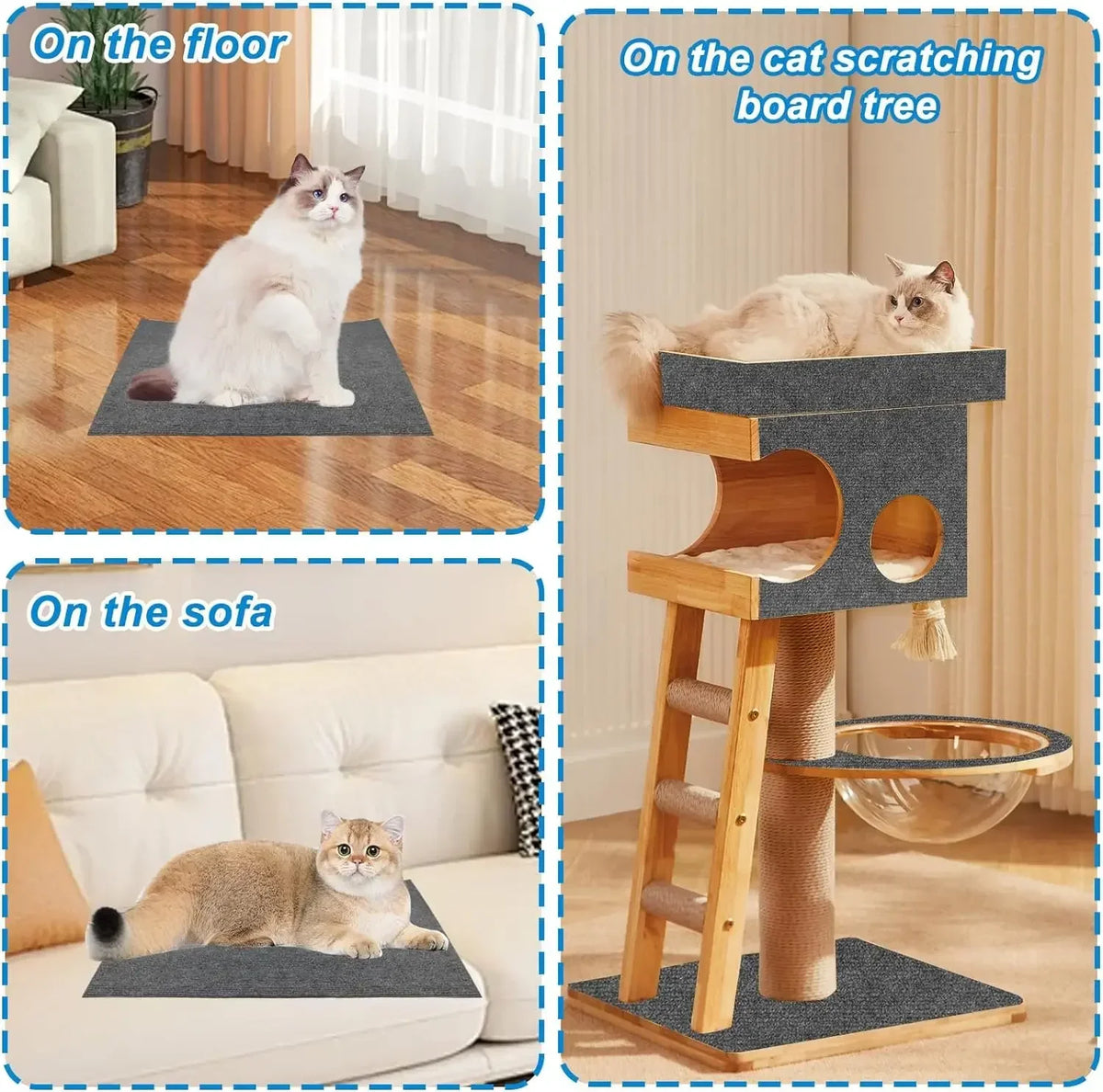 Eine Katze ruht auf verschiedenen Oberflächen wie dem Boden, einem Kratzbaum und einem Sofa.