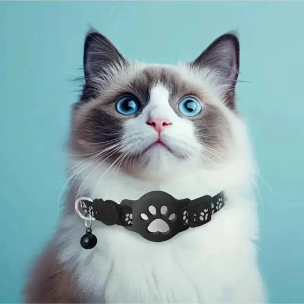 Un gato gris y blanco esponjoso vistiendo un collar de rastreo con huella de pata negra.