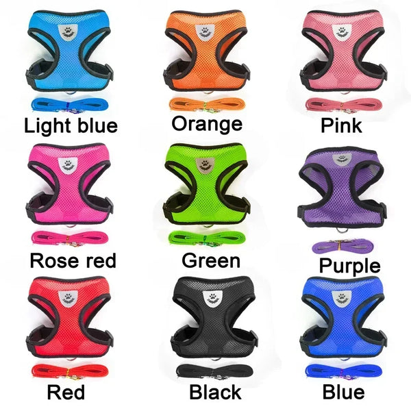 A collection of various colored adjustable pet harness and leash sets for dogs and cats.