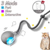 A flexible, multi-mode automatic interactive cat toy ball with a USB connection is shown next to a cat.
