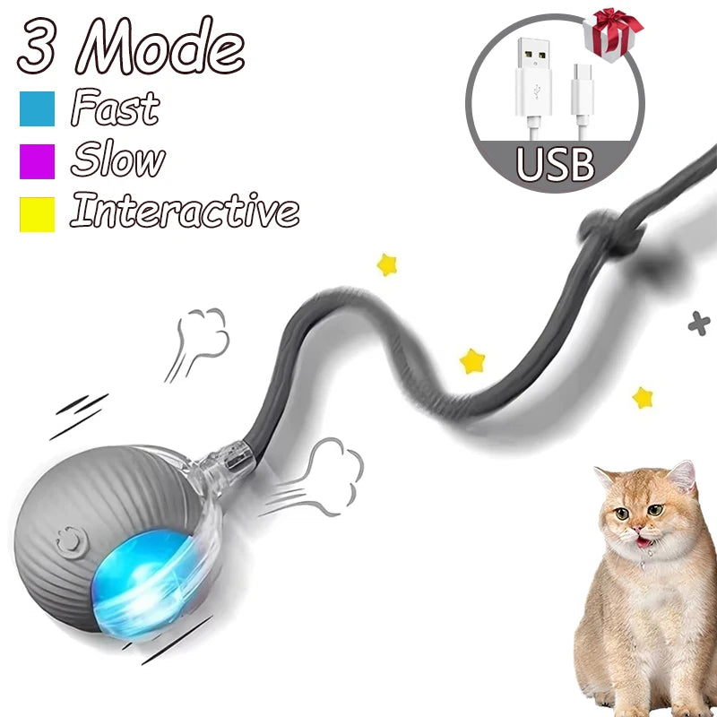 A flexible, multi-mode automatic interactive cat toy ball with a USB connection is shown next to a cat.