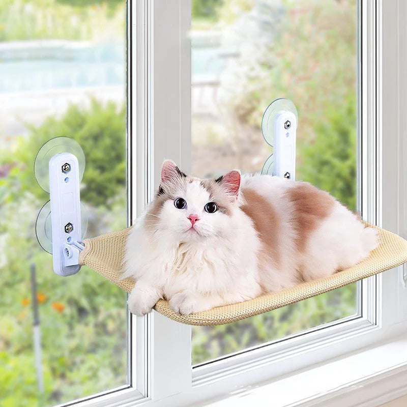 A fluffy white and ginger cat is relaxing on a suction cup hammock designed for windowsills.