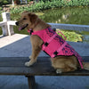 A golden retriever wearing a pink life jacket sits on a wooden bench near a pond.