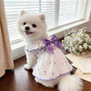 A fluffy white dog wearing a purple and white breathable summer pet dress with a leash ring.