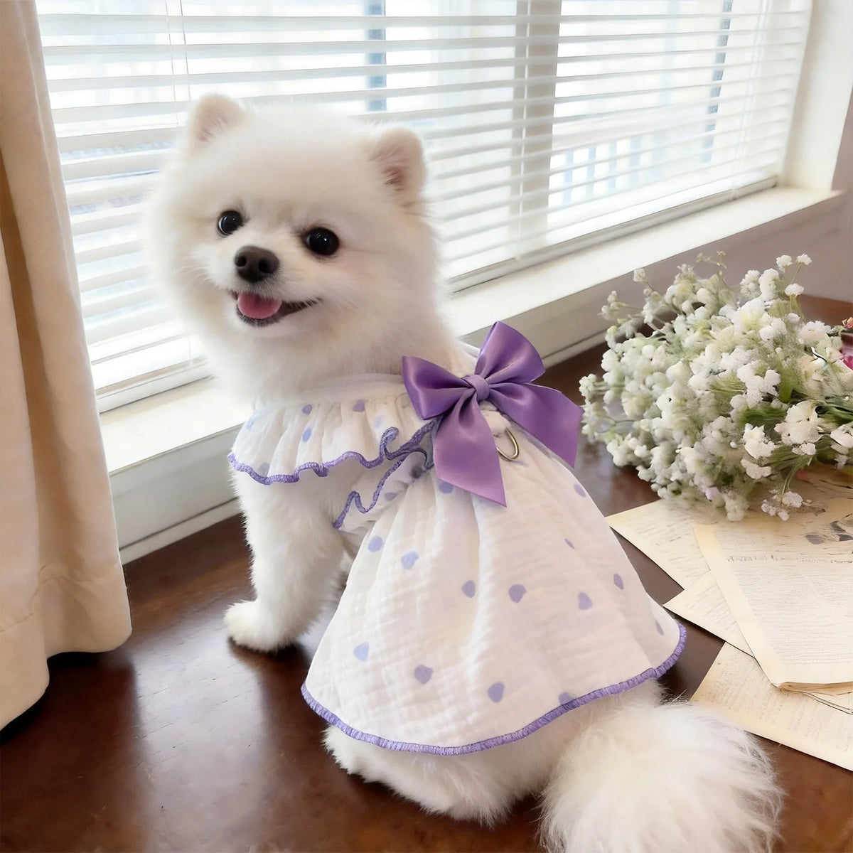 A fluffy white dog wearing a purple and white breathable summer pet dress with a leash ring.