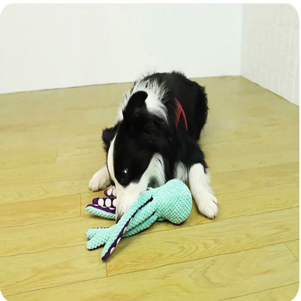 Ein schwarz-weißes, octopusförmiges Hundespielzeug liegt auf einem Holzfußboden.