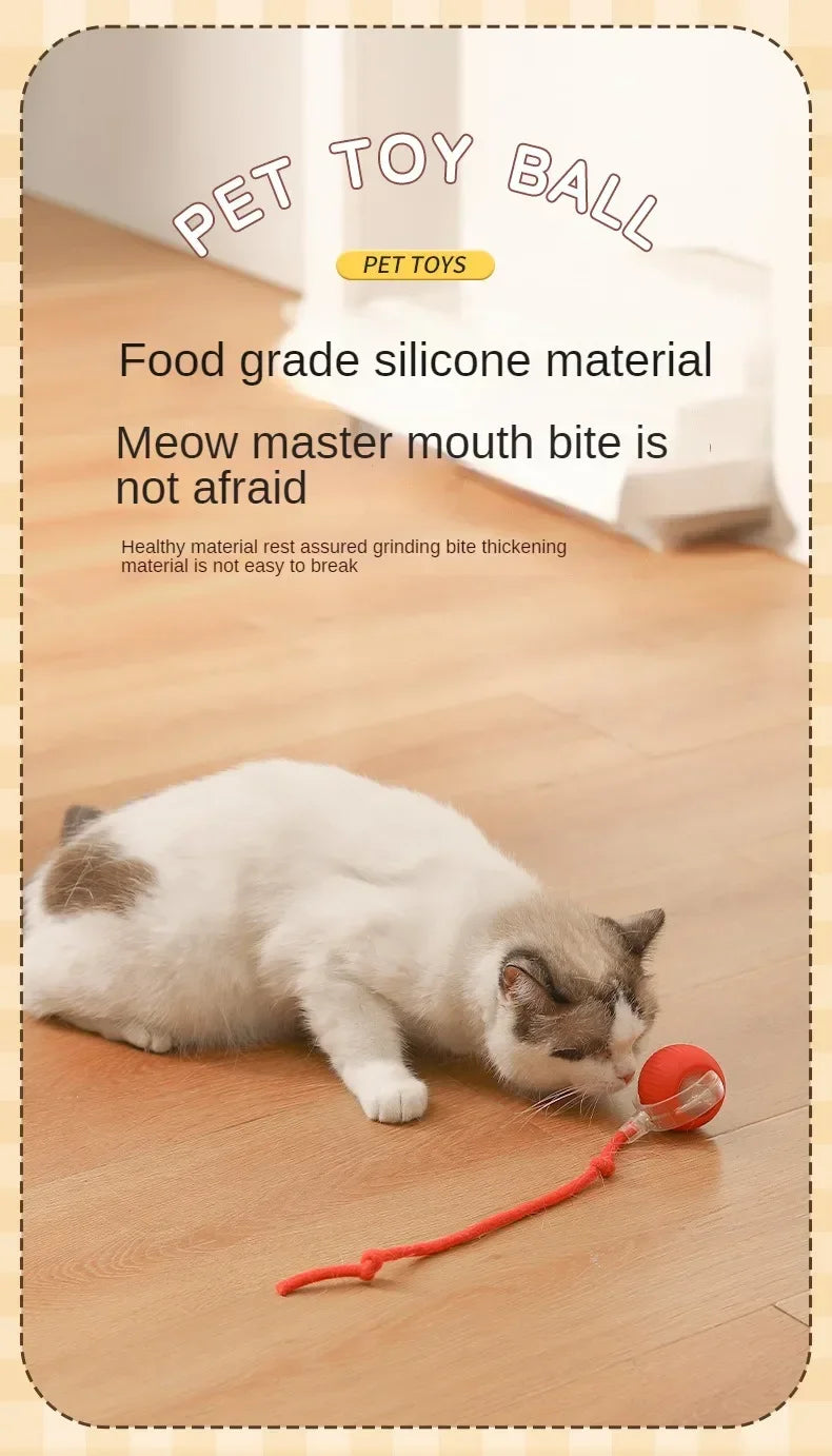 A white cat is interacting with a red silicone ball toy for pets.