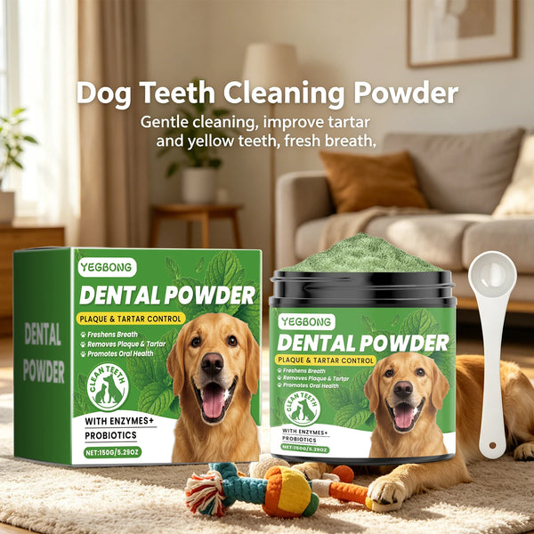 Box of Yegbong Dental Powder for dogs with enzymes and probiotics next to a white spoon.