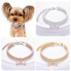 A close-up of a small dog wearing a sparkling crystal rhinestone collar with a bone pendant.