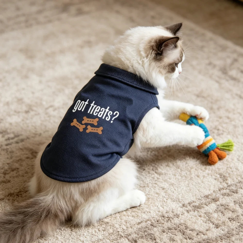 A white cat wearing a navy blue polo vest with the text got treats? and holding a yellow toy.