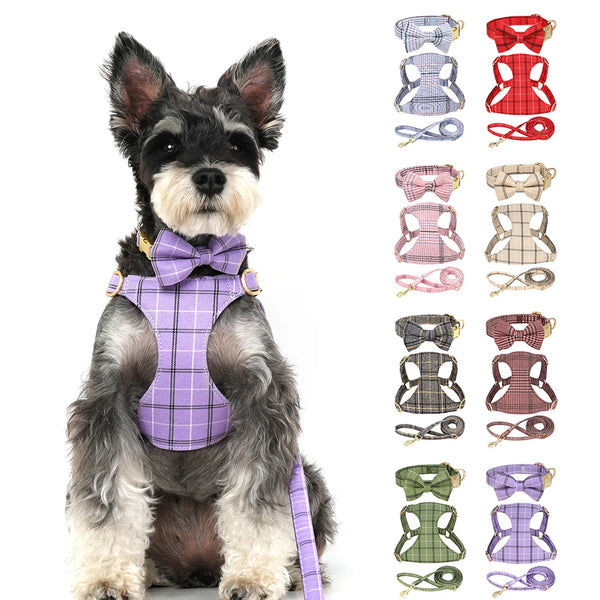 A small dog wearing a purple plaid bowtie collar, harness, and leash set.