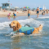 A golden retriever wearing a blue life jacket is running through the water near a beach.