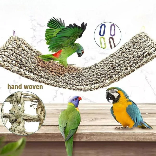 Hand woven natural fiber hammock featuring colorful parrots and reptile hammocks