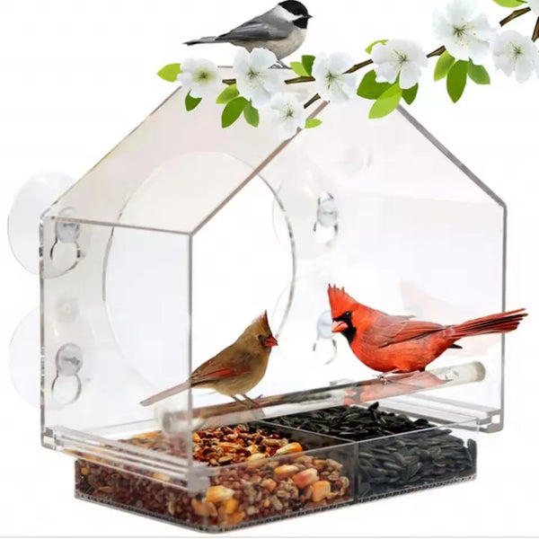 Clear acrylic bird feeder with suction cups and a perch, featuring a small bird and white flowers.