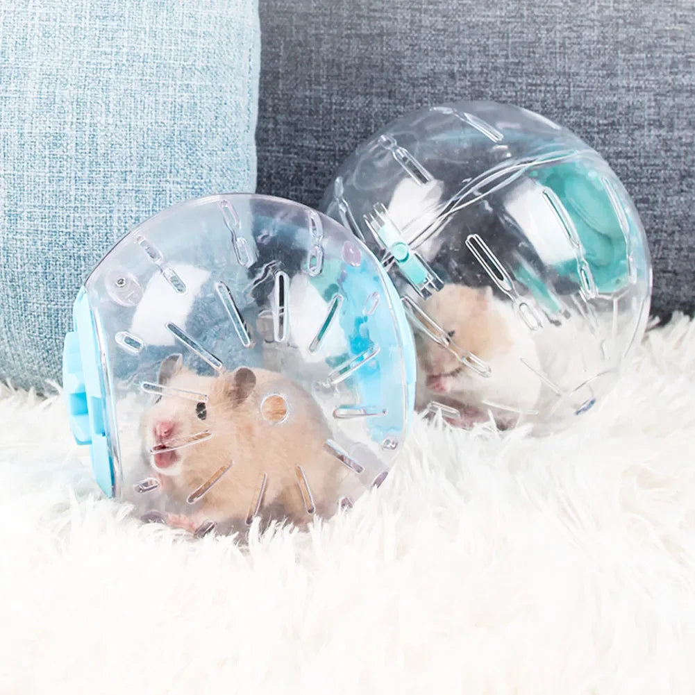 A clear, spherical pet exercise ball with internal mesh and a small rodent resting on the surface.