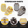 Striped dog shirts shown in various colors and patterns including yellow stripes, black and white stripes, and a cute bear pa