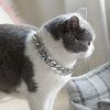 Grau-weiße Katze mit silbernem Halsband auf grauem Stoff