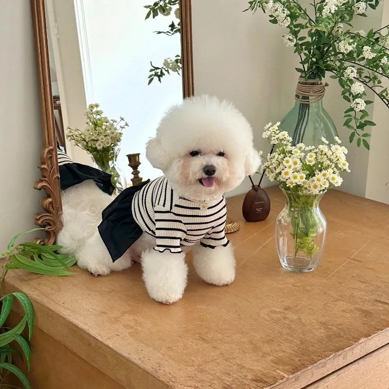 A fluffy white dog wearing a black and white striped dress with a spring bow collar and flying sleeves sits on a wooden surfa