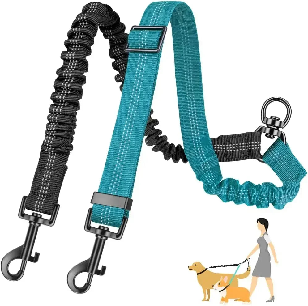 A teal dog leash attachment with a black bungee and metal clip, shown next to a small dog.