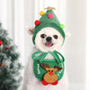 Un cachorro blanco vistiendo un sombrero de elfo verde con adornos coloridos y un conjunto de disfraz navideño verde a juego.