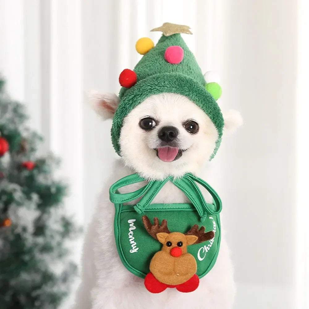 Un cachorro blanco vistiendo un sombrero de elfo verde con adornos coloridos y un conjunto de disfraz navideño verde a juego.