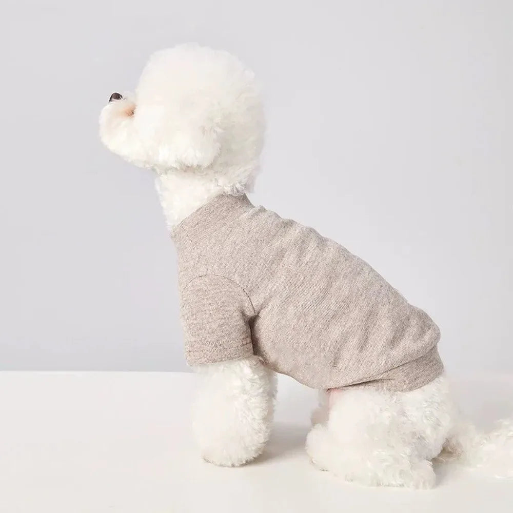 A fluffy white dog wearing a cozy gray winter sweater.