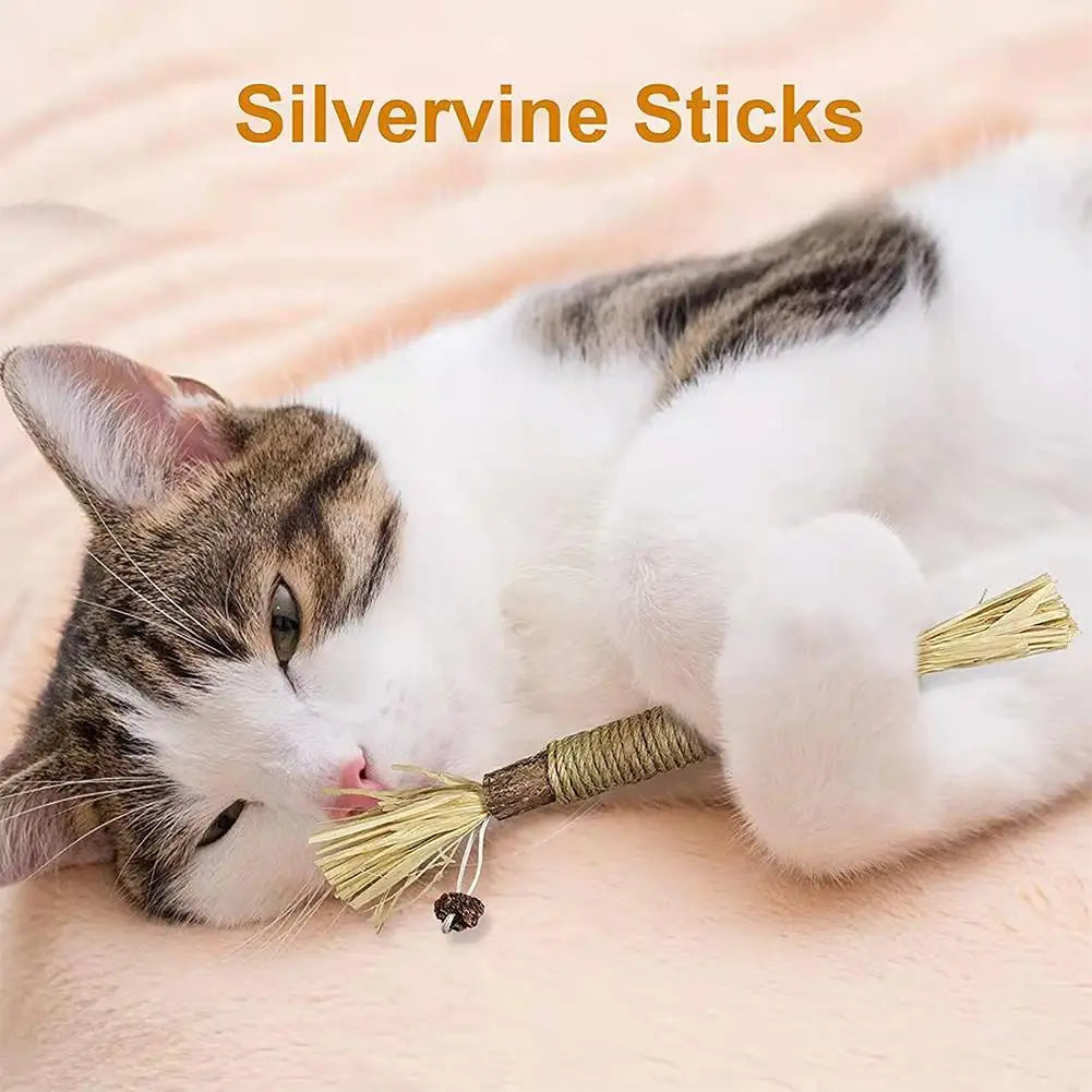 A white and gray cat is chewing on silver vine sticks, a natural cat chew toy for dental health.