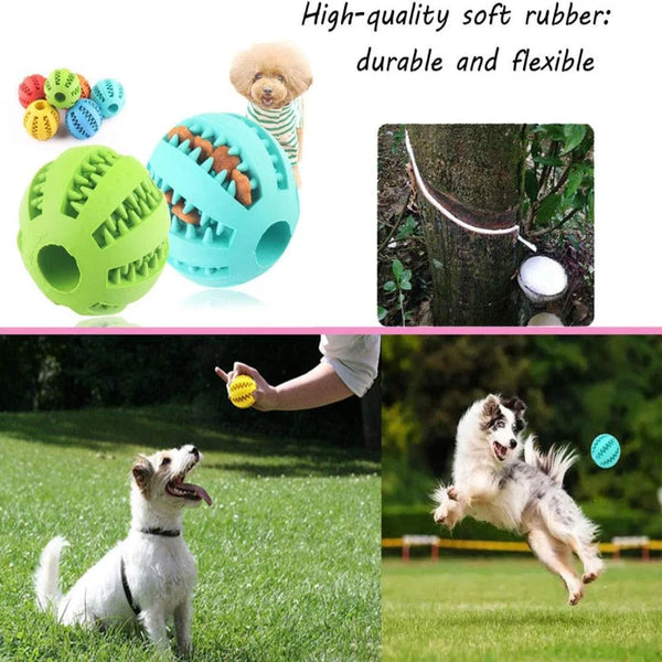 A green rubber ball and a blue ball are shown next to a treat-dispensing ball for dogs.