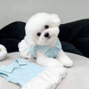 A fluffy white dog wearing a light blue summer lightweight polo dress.