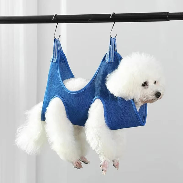 Ein weißer Pudel hängt an einer blauen Haustier-Grooming-Schlinge, die von einer Holzstange hängt.