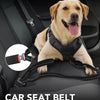 A golden dog wearing a black car seat belt harness is shown in a car interior setting.