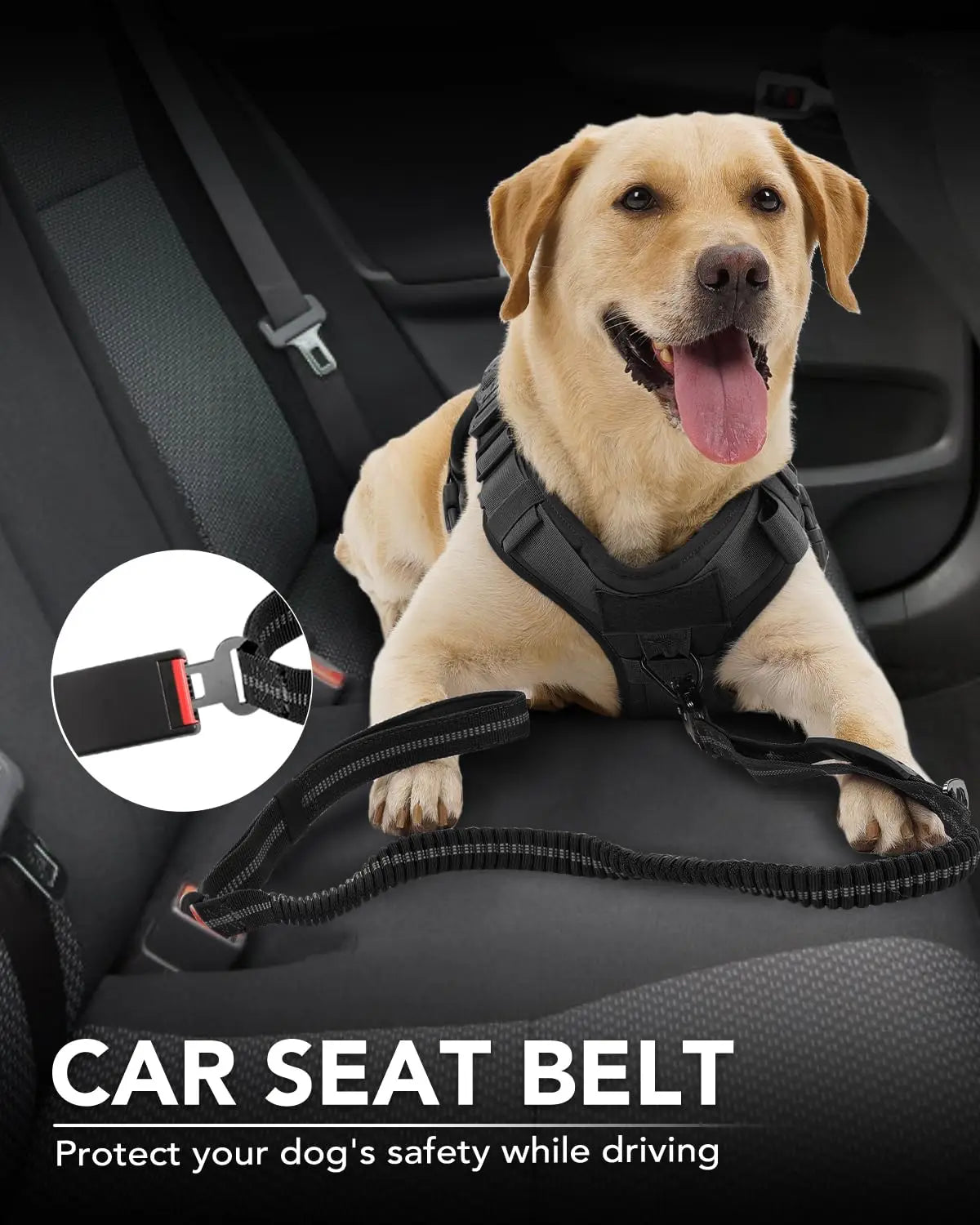 A golden dog wearing a black car seat belt harness is shown in the context of a car interior.