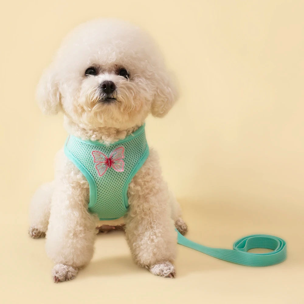 A fluffy white dog wearing a light green butterfly pet harness set.