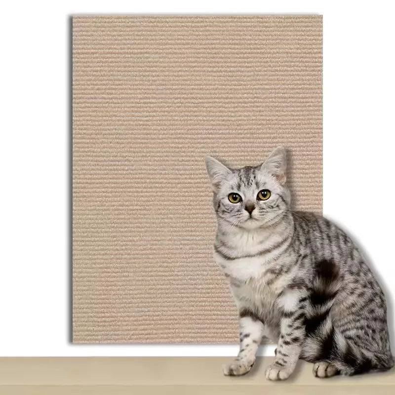 Tabby-Katze sitzt vor einem beigefarbenen, selbstklebenden Kratzschutzteppich für Katzen.
