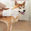 Una persona con guantes blancos acaricia suavemente a un perro Shiba Inu naranja.