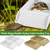 White plastic ramp reptile drying table feeding tray with a tortoise resting on it