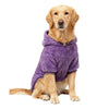 Ein golden Retriever in einem lila Fleece-Wintermantel, der direkt in die Kamera schaut.