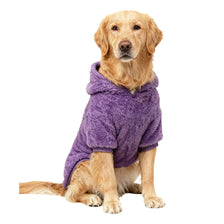 A golden retriever wearing a purple fleece winter coat, sitting and looking directly at the camera.