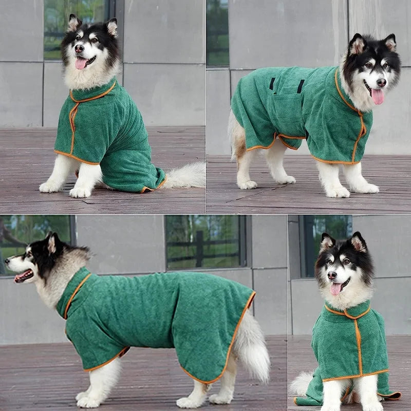 Un husky moelleux portant une serviette de séchage verte ultra douce, debout sur une surface en bois.