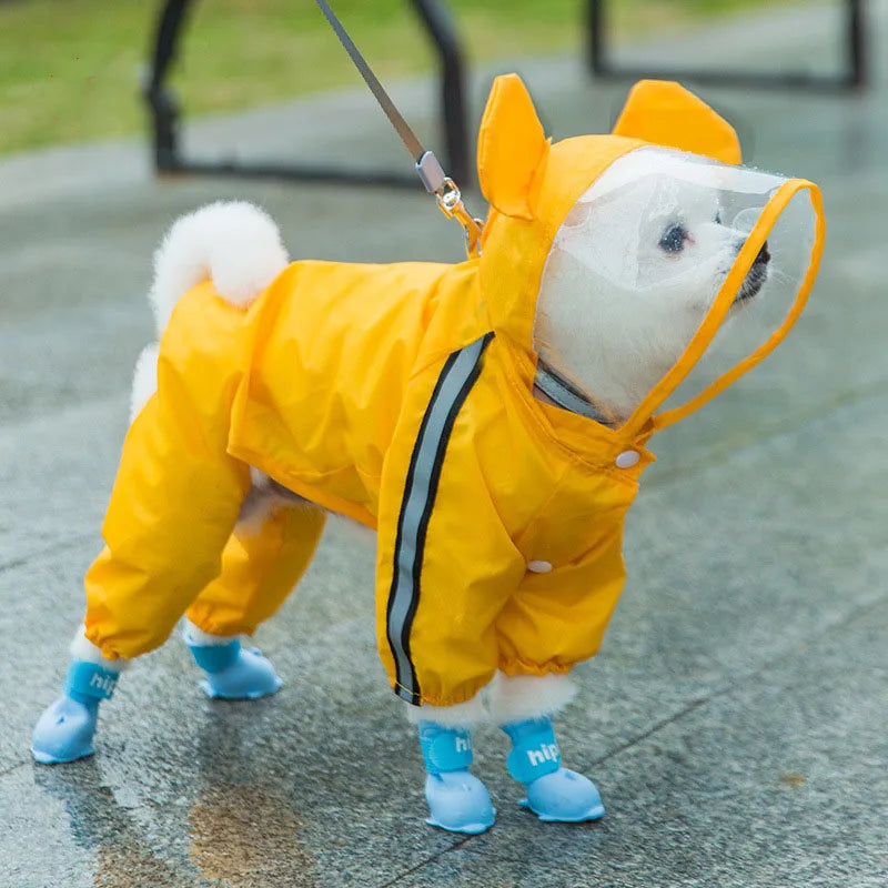 Un cachorro blanco con impermeable amarillo y orejas naranjas y botas azules, parado en pavimento mojado.