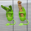 A green feeding stand holds a piece of bird cuttlebone for parrots against a black wire grid background.