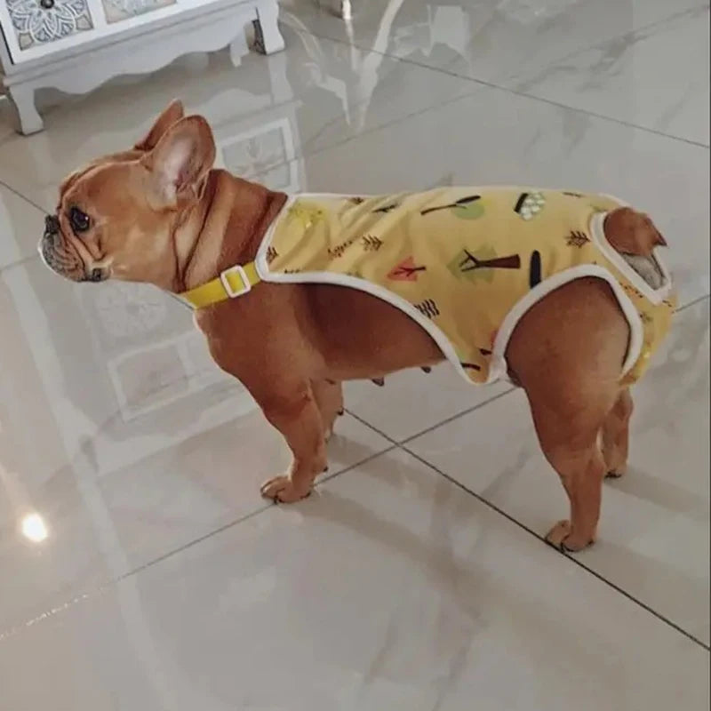 Ein fawnfarbener Französische Bulldogge mit gelbem gemustertem Hundegurt auf einem Fliesenboden.