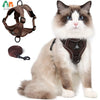 Ein flauschiger grau-weißer Kater mit braunem, verstellbarem Halsband und Leine.