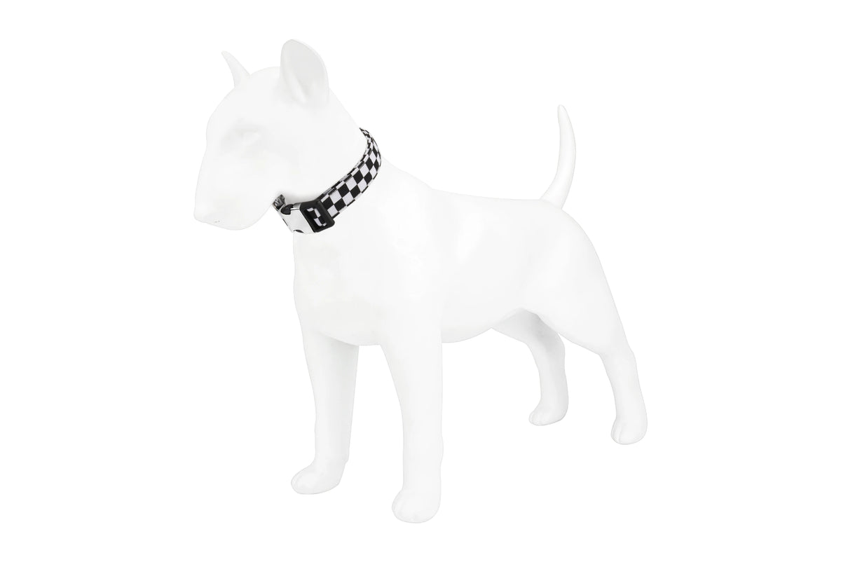 A white dog model wearing a black and white checker pattern collar.