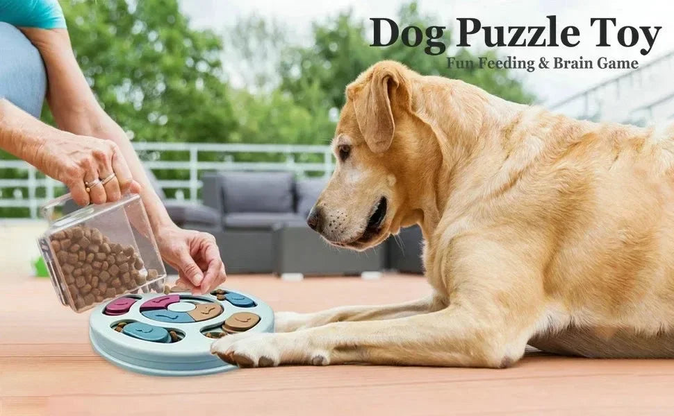 Ein goldener Hund interagiert mit einem blauen Puzzle-Futterspielzeug, das von einer Person gehalten wird.
