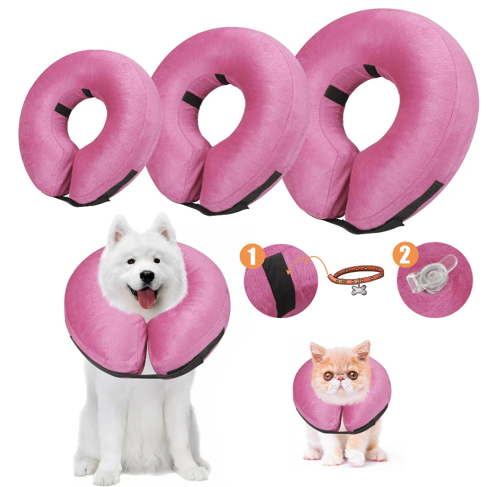 Pink inflatable recovery collar for dogs and cats shown with examples of use on a white dog and a cat